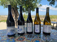 將圖片載入圖庫檢視器 【13.5度】Red Wine - 醇厚偏甜 果味香紅酒 "獨眼巨人" 【五星級酒店menu紅酒 】"Polyphemus"