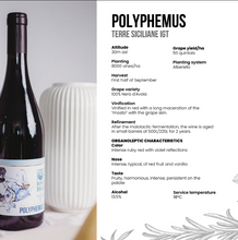 將圖片載入圖庫檢視器 【13.5度】Red Wine - 醇厚偏甜 果味香紅酒 "獨眼巨人" 【五星級酒店menu紅酒 】"Polyphemus"